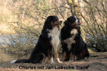 Charles mit Jari Lbsche Trade