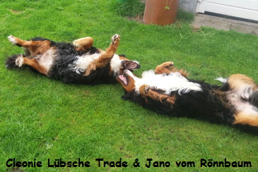 Cleonie Lbsche Trade & Jano vom Rnnbaum