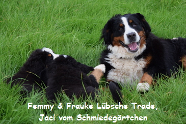 Femmy & Frauke Lbsche Trade, Jaci vom Schmiedegrtchen