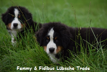 Femmy & Fidibus Lbsche Trade