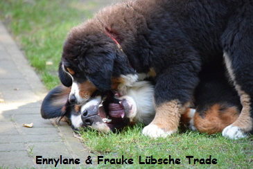 Ennylane & Frauke Lbsche Trade