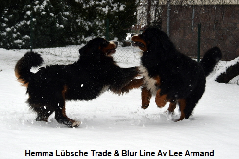 Hemma Lübsche Trade & Blur Line Av Lee Armand
