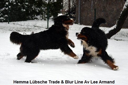 Hemma Lübsche Trade & Blur Line Av Lee Armand
